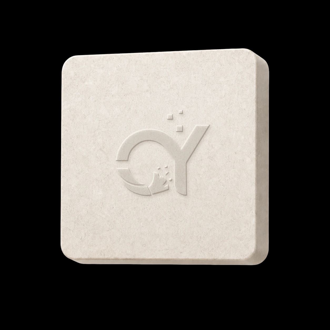 CCSIP 石材浮雕标志